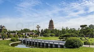2026美加墨世界杯官网 五台县林业局太行绿化工程